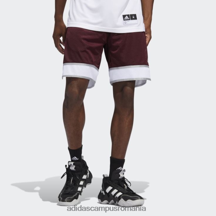 adidas campus romania pantaloni scurți aggies swingman maro bărbați maro/alb J266N221116