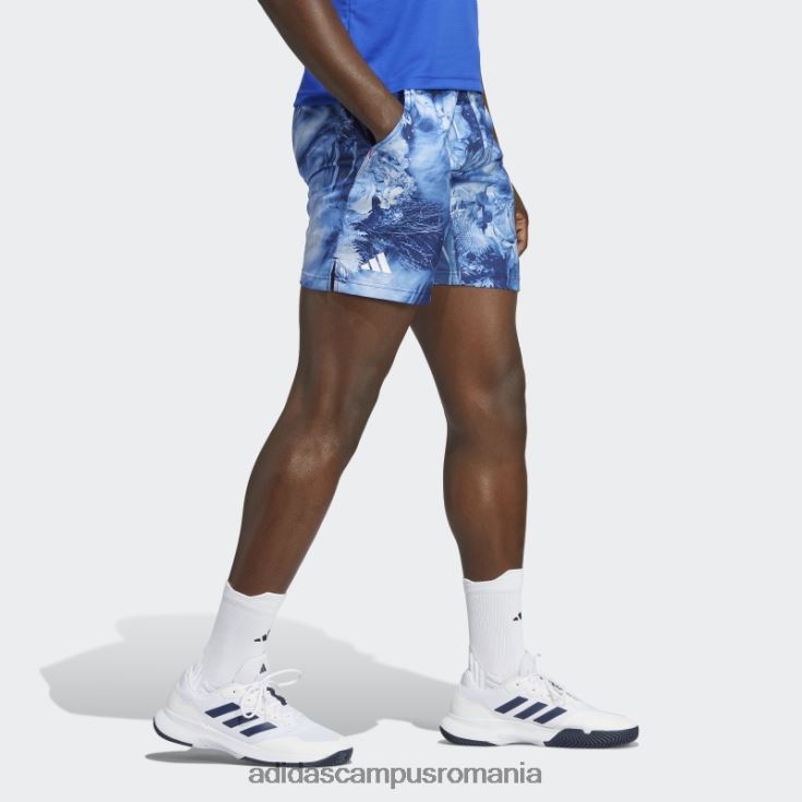 adidas campus romania pantaloni scurți grafici de tenis ergo alb fierbinte melbourne bărbați multicolor/albastru victorie/alb J266N221065