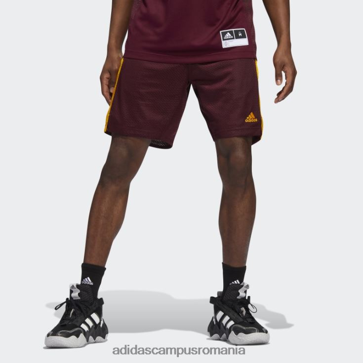 adidas campus romania pantaloni scurți sun devils swingman maro adidas bărbați maro/aur colegiu J266N221114