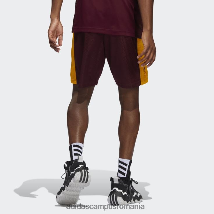 adidas campus romania pantaloni scurți sun devils swingman maro adidas bărbați maro/aur colegiu J266N221114
