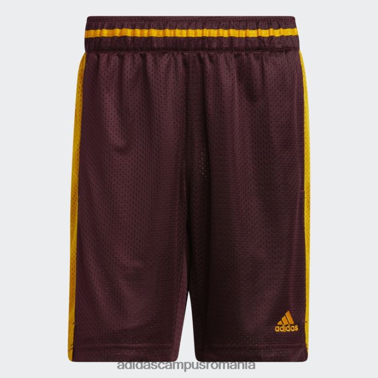 adidas campus romania pantaloni scurți sun devils swingman maro adidas bărbați maro/aur colegiu J266N221114