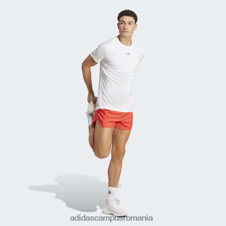 adidas campus romania roșu deține pantaloni scurți de alergare bărbați roșu J266N221058