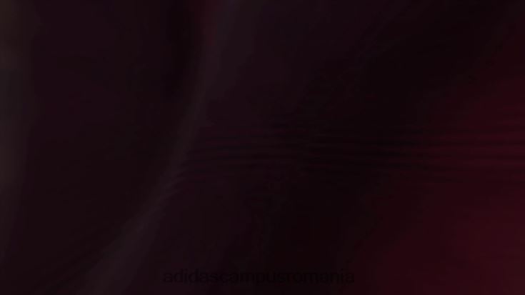 adidas campus romania red terrex techrock rain.rdy pantaloni adidas bărbați roșu J266N221279