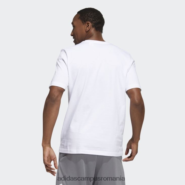adidas campus romania insigna albă botg de tricou grafic sport bărbați alb/albastru alterat/verde J266N26557