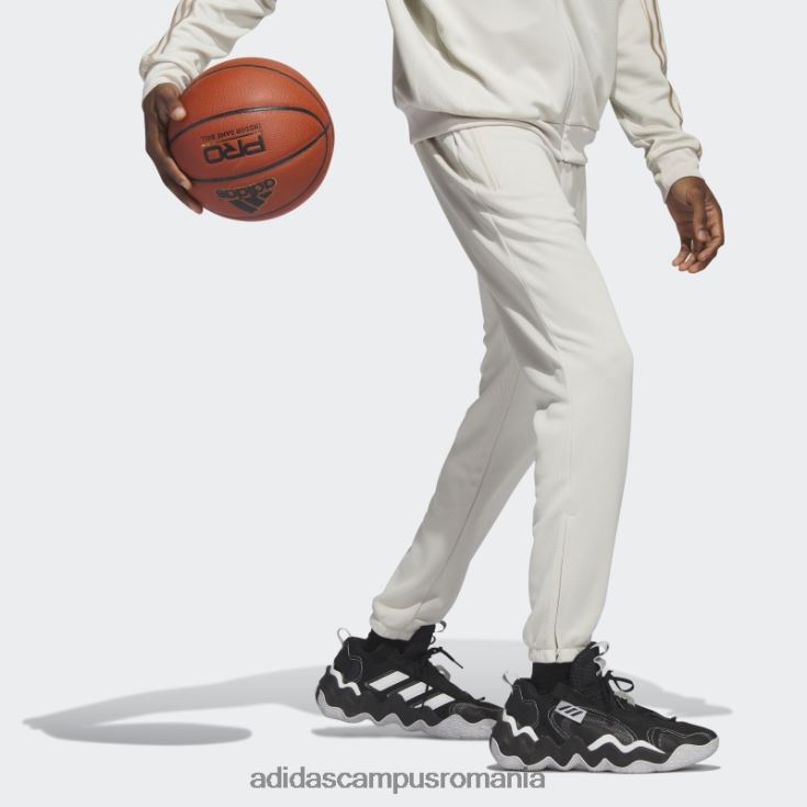 adidas campus romania selectați pantaloni din aluminiu bărbați aluminiu J266N25899