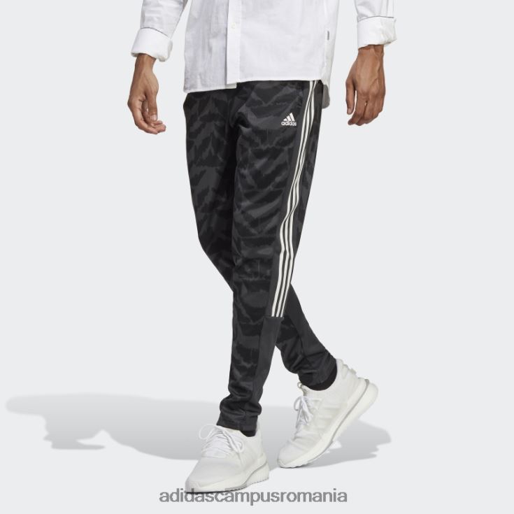 adidas campus romania carbon tiro costum-up stil de viață joggeri bărbați carbon J266N213330