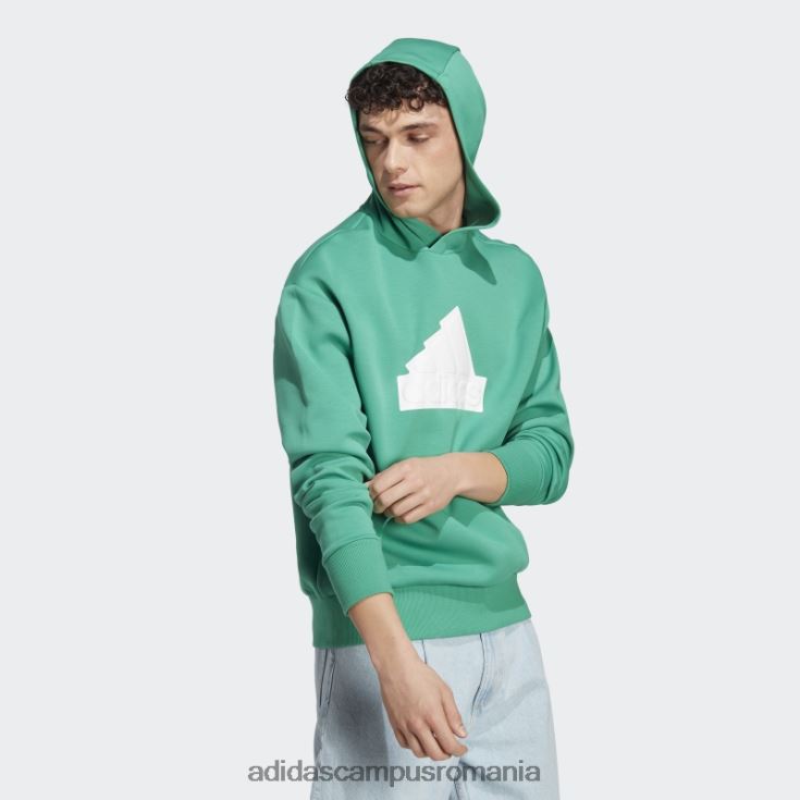 adidas campus romania icoane viitoare insignă de sport hanorac verde curte bărbați verde curte J266N214474