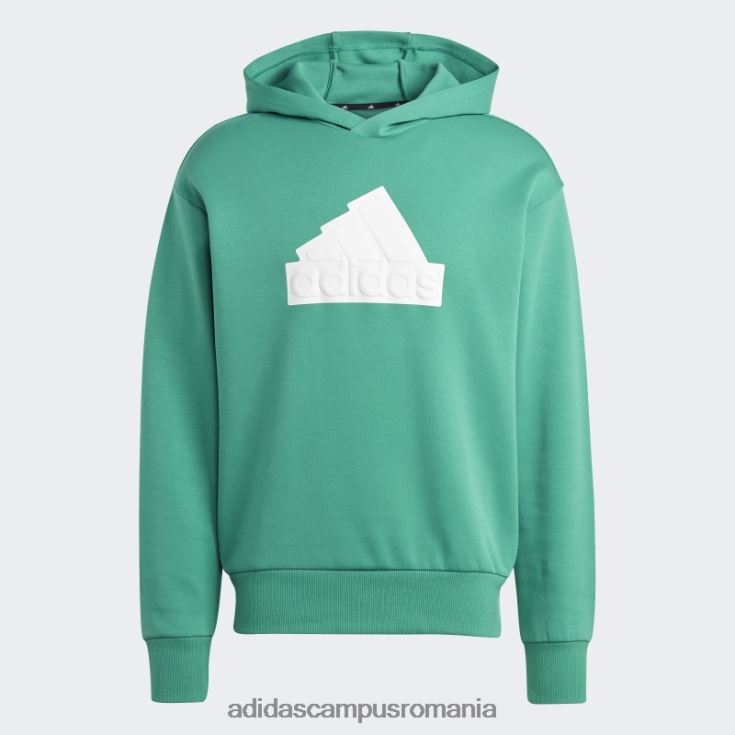 adidas campus romania icoane viitoare insignă de sport hanorac verde curte bărbați verde curte J266N214474