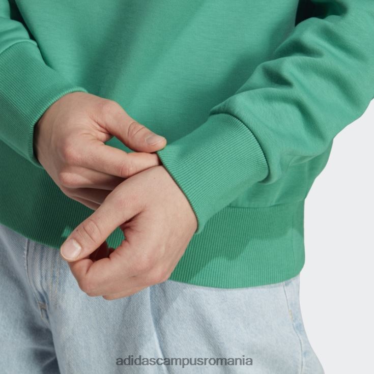 adidas campus romania icoane viitoare insignă de sport hanorac verde curte bărbați verde curte J266N214474