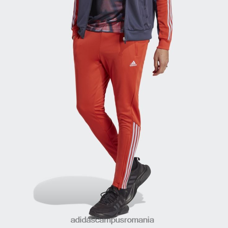 adidas campus romania pantaloni de trening tiro roșu adidas bărbați zori roșu/albastru J266N214439