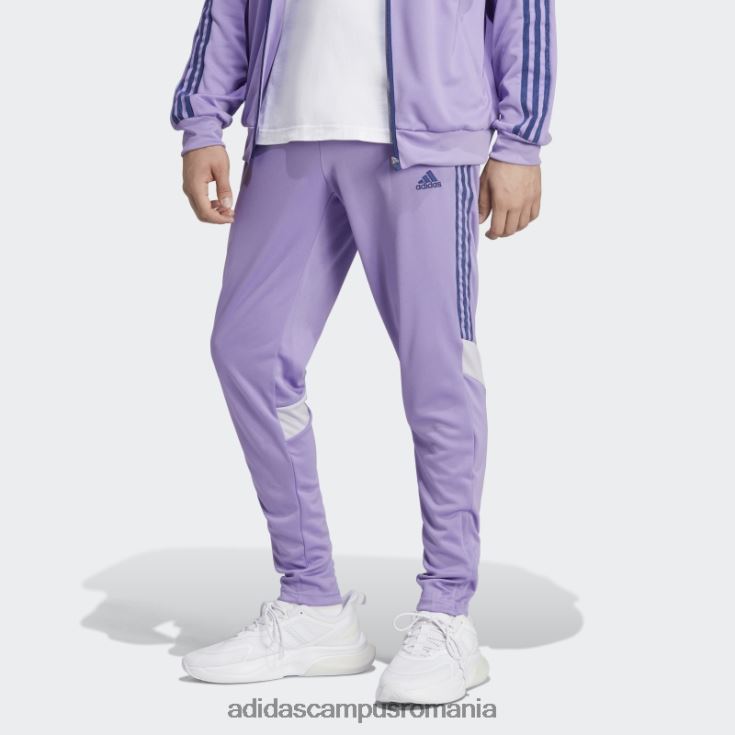 adidas campus romania pantaloni de trening tiro violet bărbați violet J266N213507