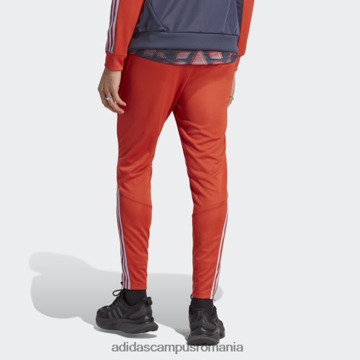 adidas campus romania pantaloni tiro roșii bărbați zori roșu/albastru J266N26041