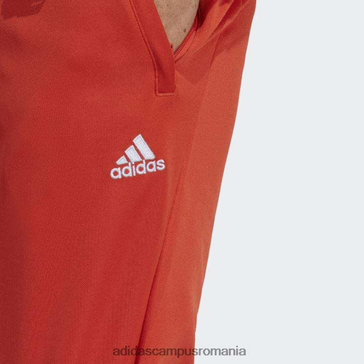 adidas campus romania pantaloni tiro roșii bărbați zori roșu/albastru J266N26041