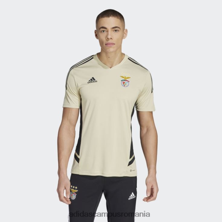 adidas campus romania benfica condivo tricou de antrenament nisip bej adidas bărbați bej nisipos J266N214364