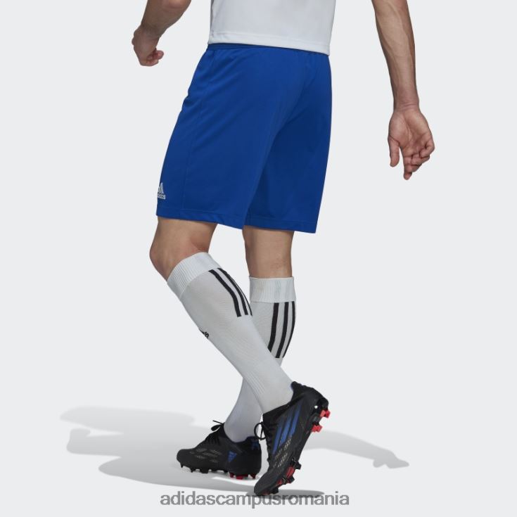 adidas campus romania entrada 22 pantaloni scurți albastru regal bărbați albastru regal J266N215194