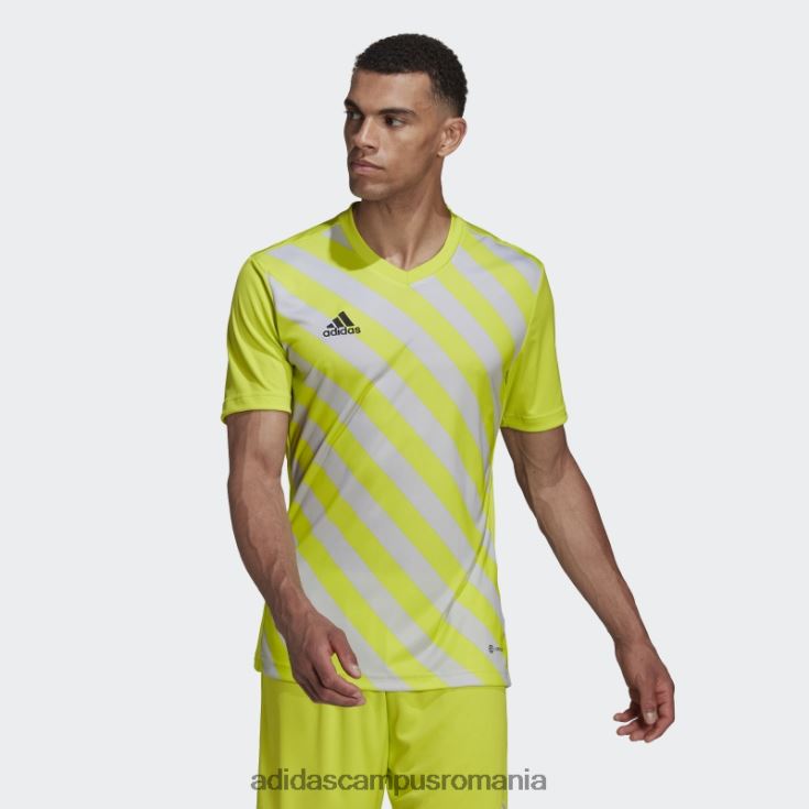 adidas campus romania entrada 22 tricou grafic sol galben adidas bărbați galben sol/gri deschis J266N214412