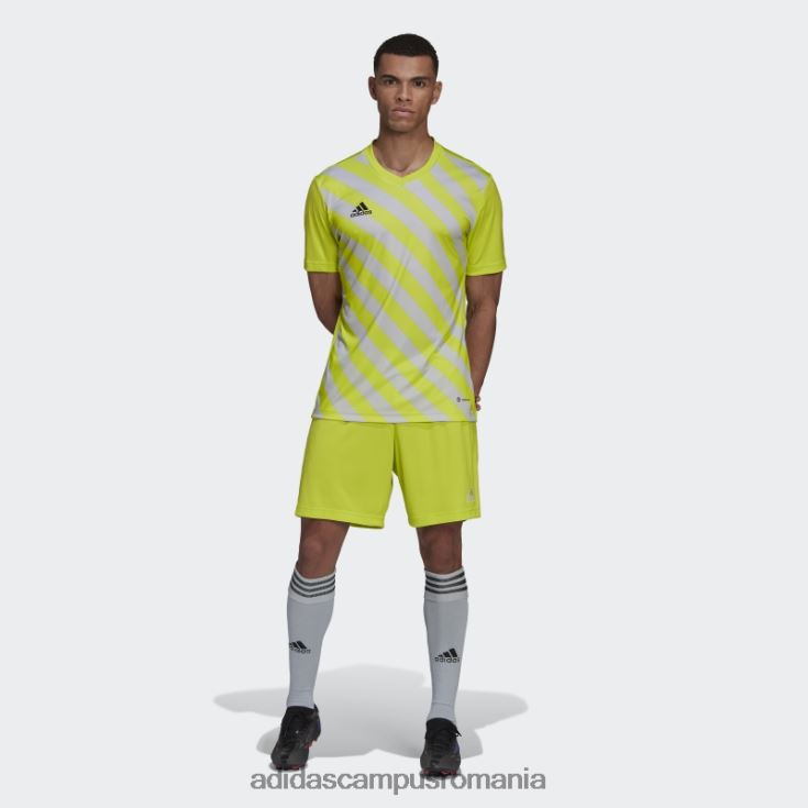 adidas campus romania entrada 22 tricou grafic sol galben adidas bărbați galben sol/gri deschis J266N214412