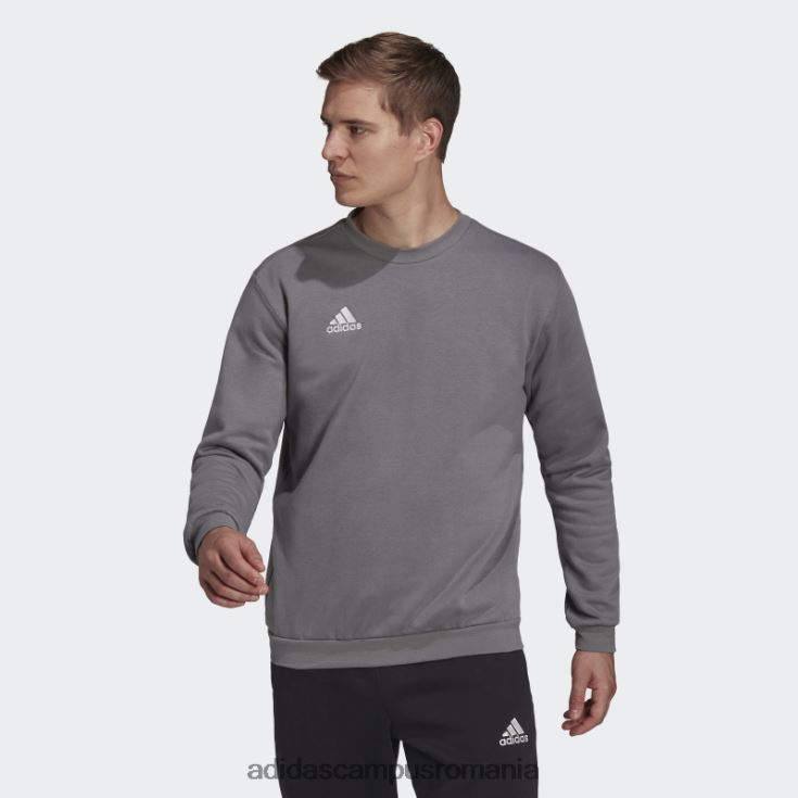 adidas campus romania hanorac entrada 22 gri adidas bărbați gri J266N215150