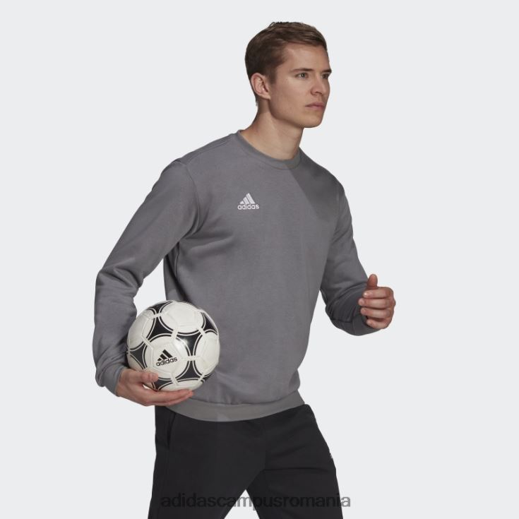 adidas campus romania hanorac entrada 22 gri adidas bărbați gri J266N215150