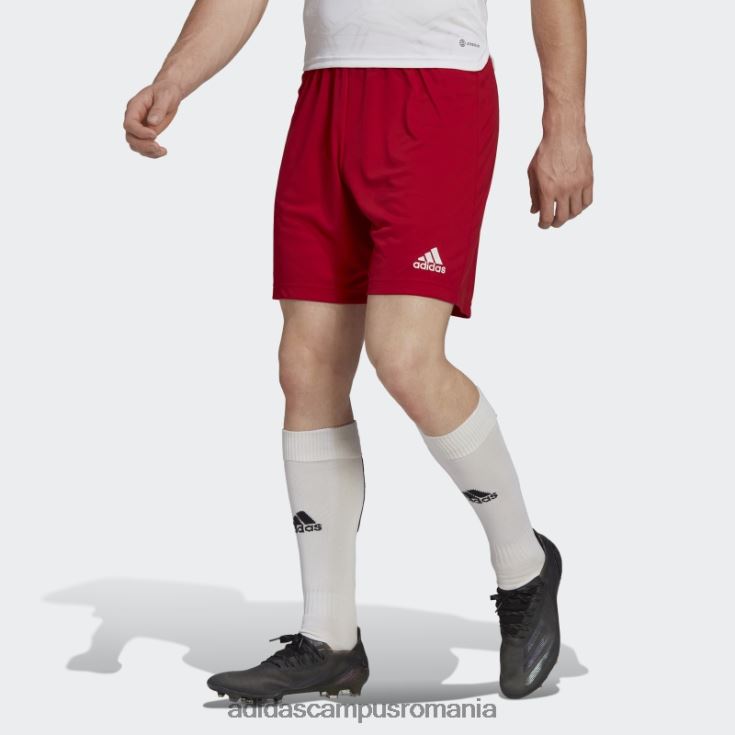 adidas campus romania intrare 22 pantaloni scurți roșii adidas bărbați roșu J266N213770