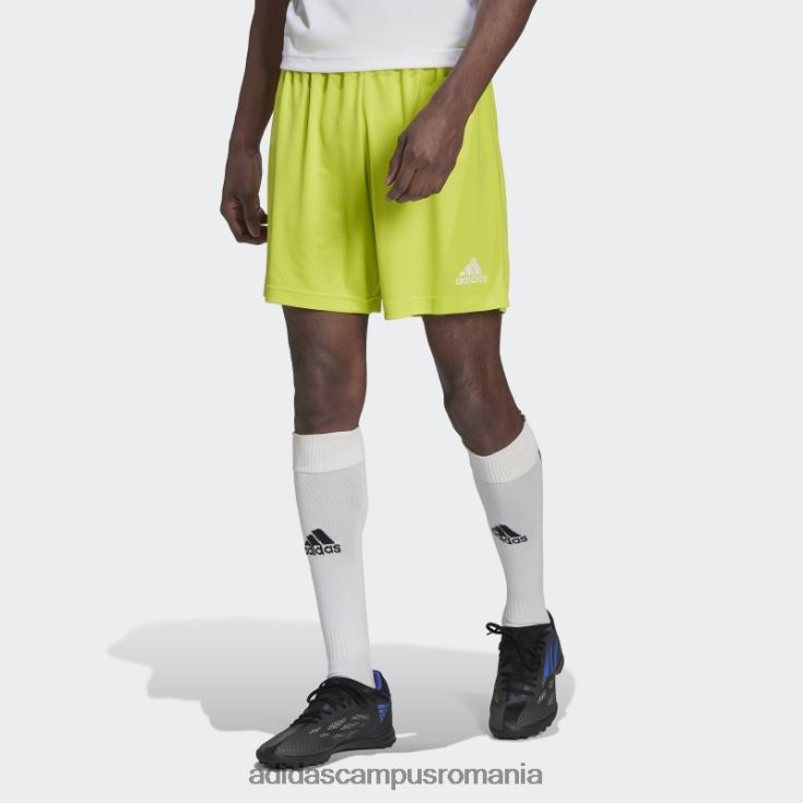 adidas campus romania intrare 22 pantaloni scurți sol galben adidas bărbați galben sol J266N214166