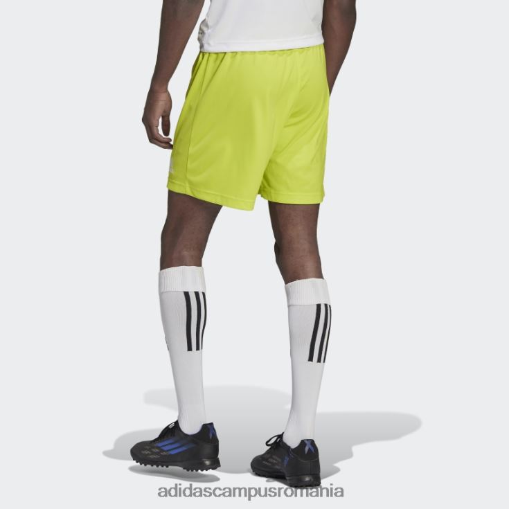 adidas campus romania intrare 22 pantaloni scurți sol galben adidas bărbați galben sol J266N214166