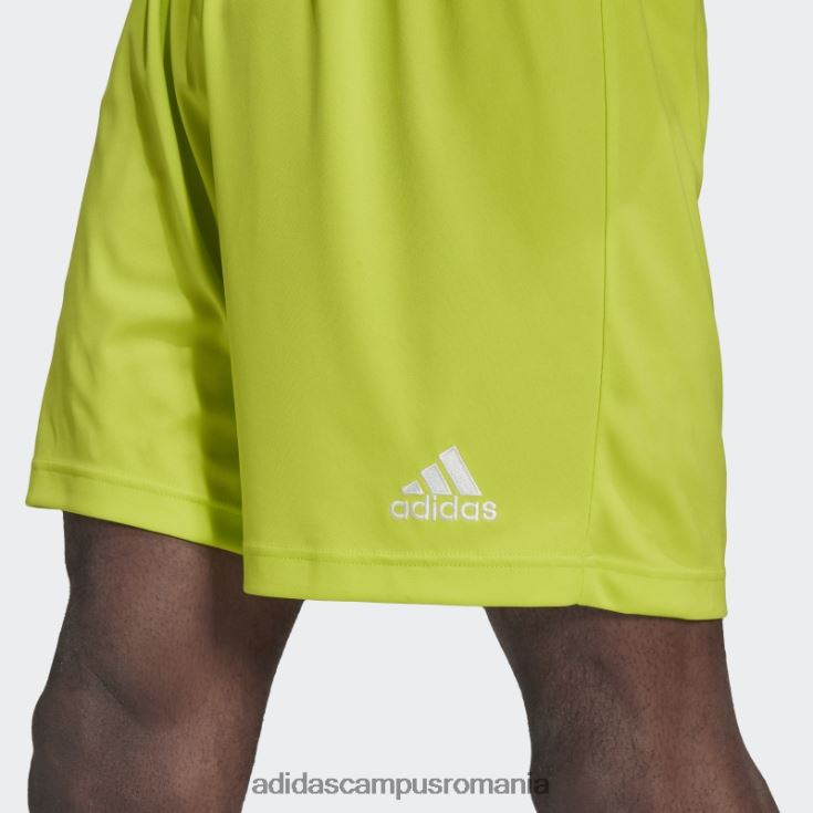 adidas campus romania intrare 22 pantaloni scurți sol galben adidas bărbați galben sol J266N214166