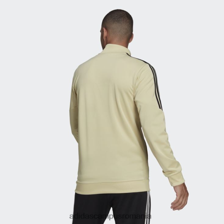 adidas campus romania jachetă de sport benfica condivo bej nisip adidas bărbați bej nisipos J266N214340