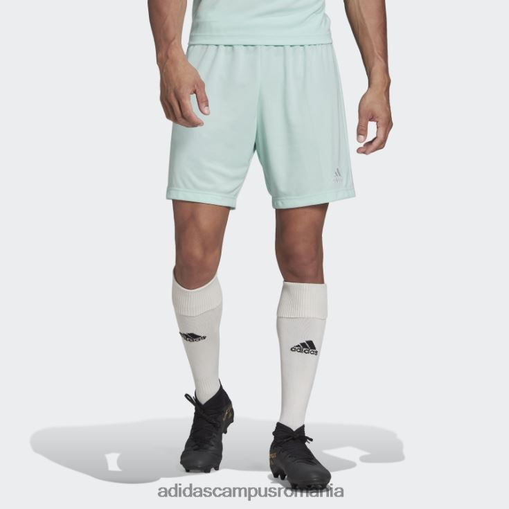 adidas campus romania mint entrada 22 pantaloni scurți bărbați mentă J266N213828