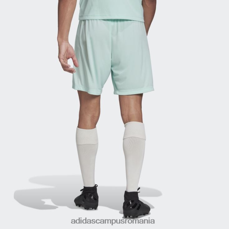 adidas campus romania mint entrada 22 pantaloni scurți bărbați mentă J266N213828