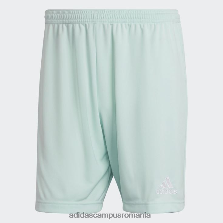 adidas campus romania mint entrada 22 pantaloni scurți bărbați mentă J266N213828