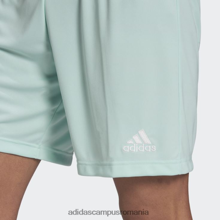 adidas campus romania mint entrada 22 pantaloni scurți bărbați mentă J266N213828