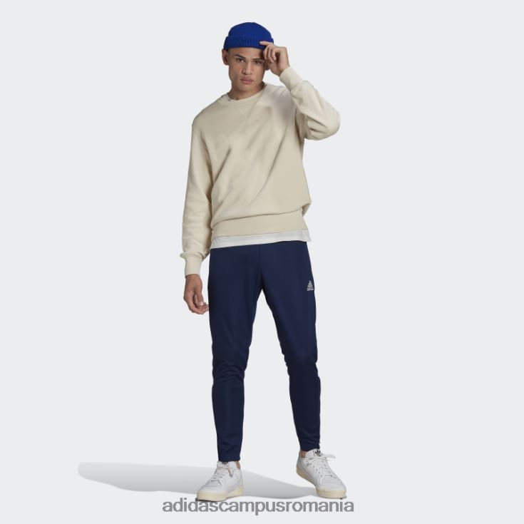 adidas campus romania pantaloni de trening de antrenament entrada 22 bleumarin bărbați albastru marin J266N213102