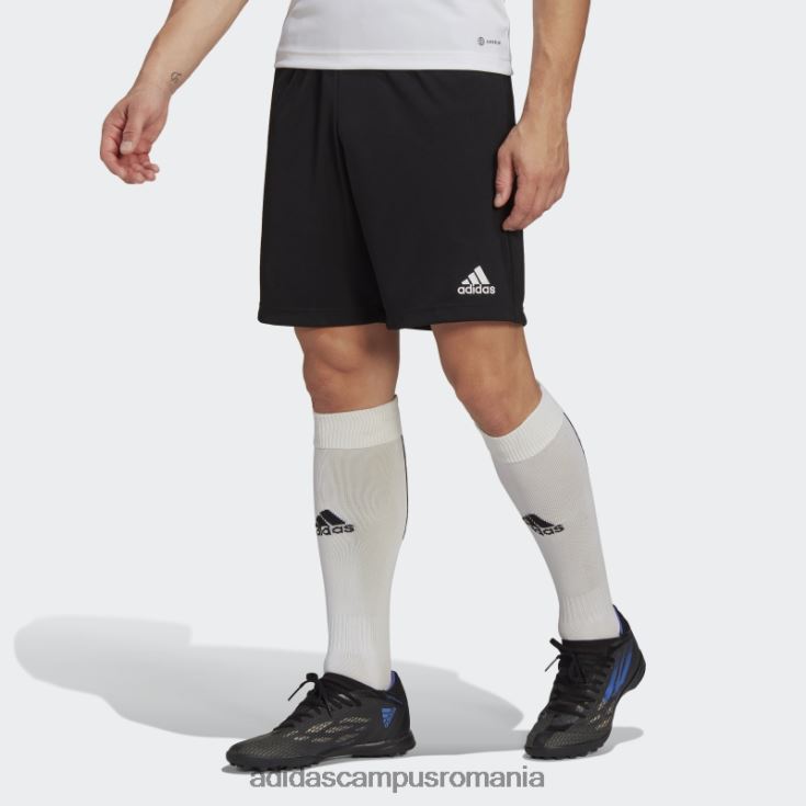 adidas campus romania pantaloni scurți de antrenament negru entrada 22 adidas bărbați negru J266N213239