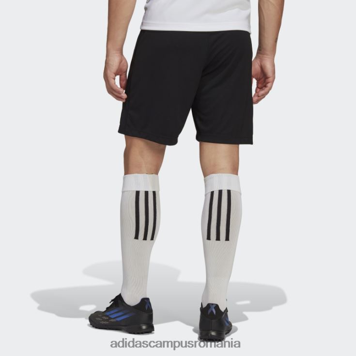 adidas campus romania pantaloni scurți de antrenament negru entrada 22 adidas bărbați negru J266N213239