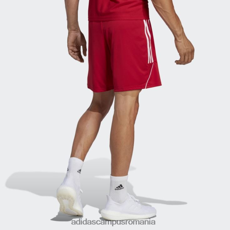 adidas campus romania pantaloni scurți de liga fierbinte tiro 23 alb bărbați rosu alb J266N26302