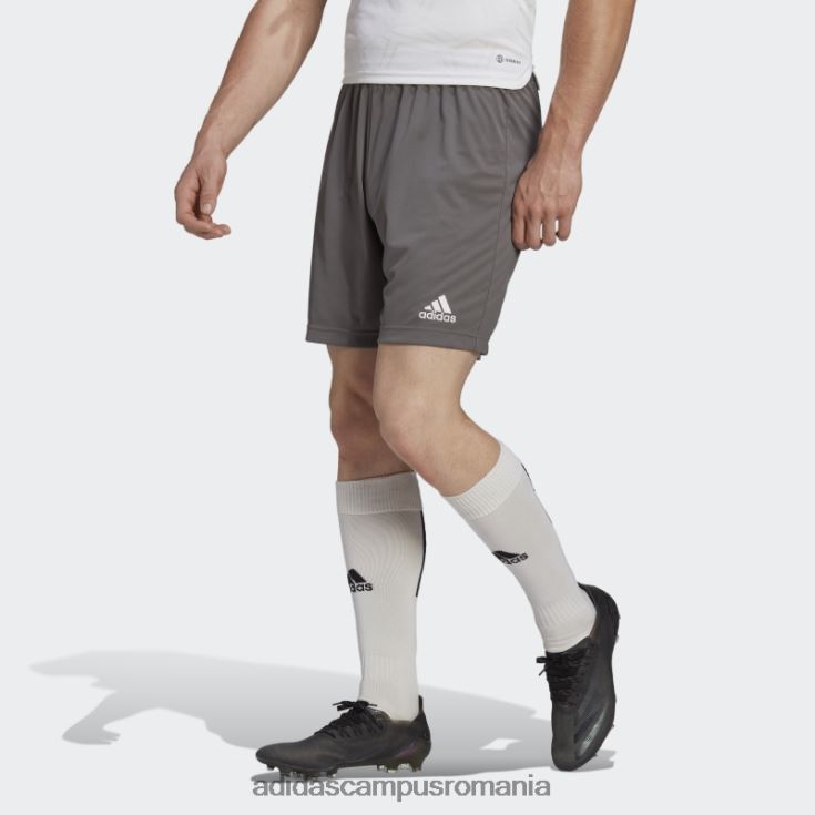 adidas campus romania pantaloni scurți gri entrada 22 adidas bărbați gri J266N213521
