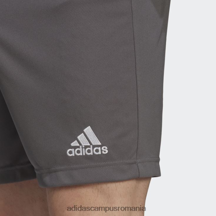 adidas campus romania pantaloni scurți gri entrada 22 adidas bărbați gri J266N213521