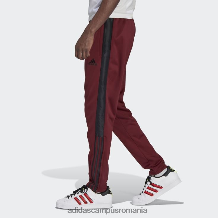 adidas campus romania pantaloni tiro roșii bărbați roșu J266N214761