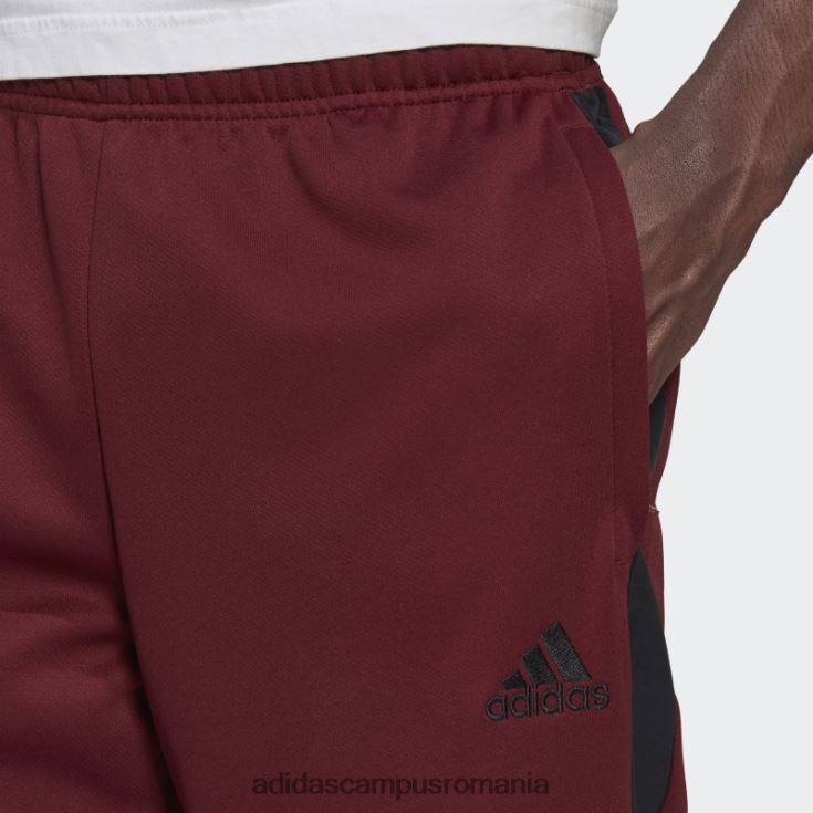 adidas campus romania pantaloni tiro roșii bărbați roșu J266N214761