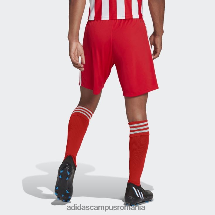 adidas campus romania roșu 1. fc union berlin 22/23 pantaloni scurți acasă adidas bărbați roșu J266N214307