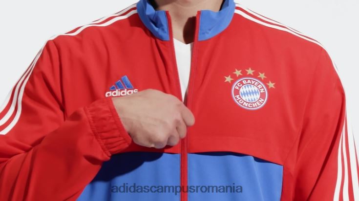 adidas campus romania top de prezentare fc bayern condivo 22 roșu bărbați roșu/regal J266N215214
