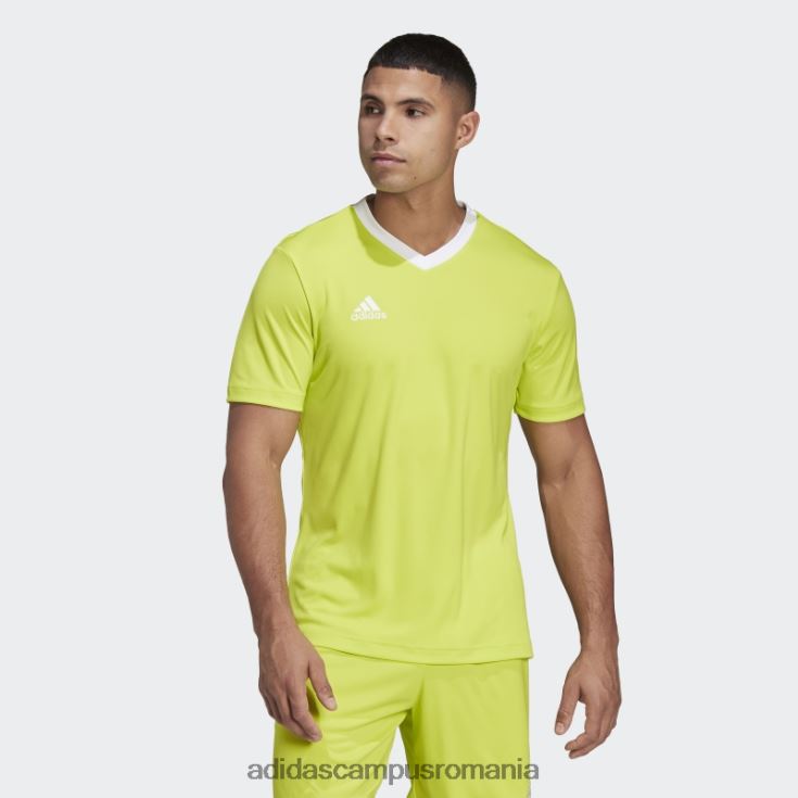 adidas campus romania tricou adidas entrada 22 galben sol bărbați galben sol J266N213509