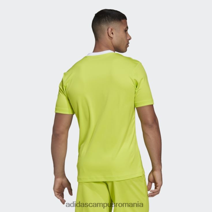 adidas campus romania tricou adidas entrada 22 galben sol bărbați galben sol J266N213509