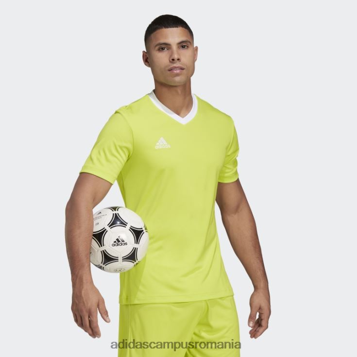 adidas campus romania tricou adidas entrada 22 galben sol bărbați galben sol J266N213509