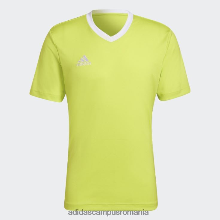 adidas campus romania tricou adidas entrada 22 galben sol bărbați galben sol J266N213509