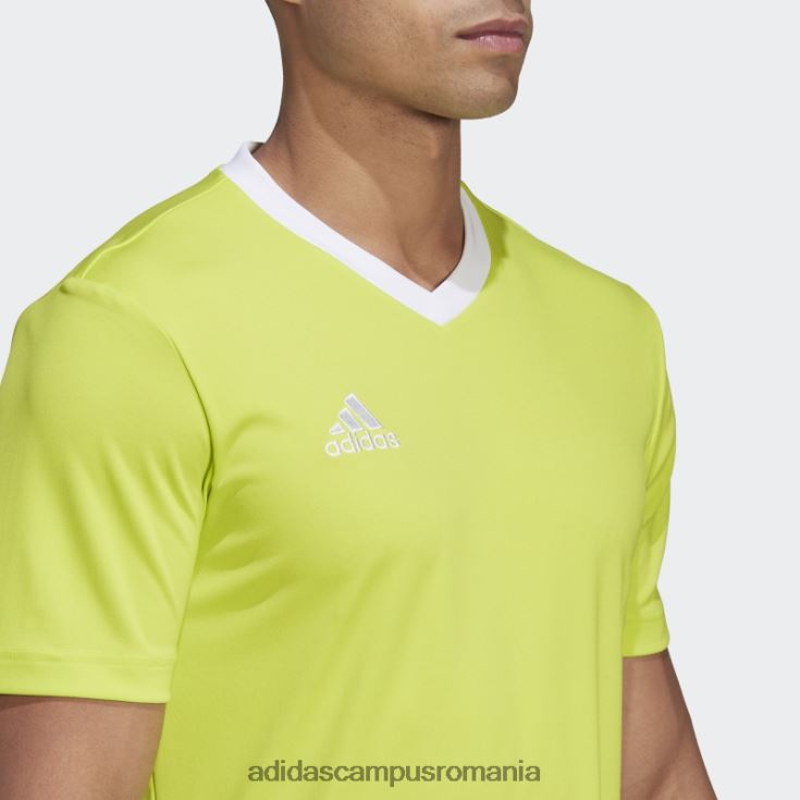 adidas campus romania tricou adidas entrada 22 galben sol bărbați galben sol J266N213509