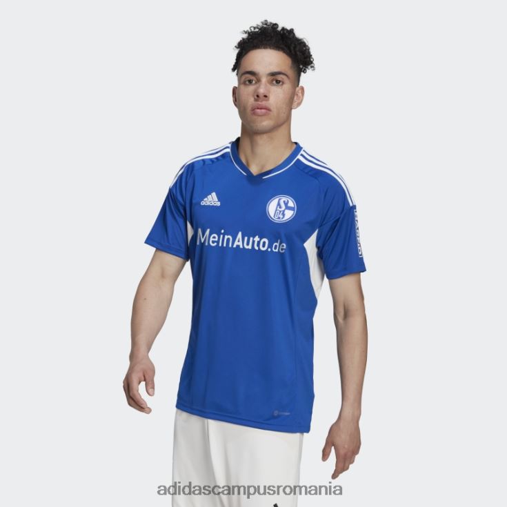 adidas campus romania tricou de acasă albastru regal fc schalke 04 22/23 bărbați albastru regal/alb J266N214200