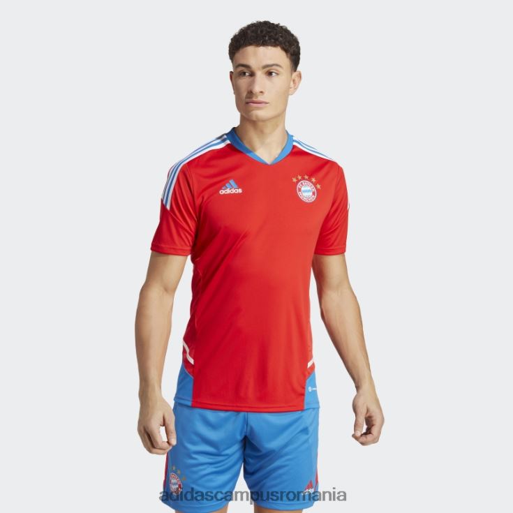 adidas campus romania tricou de antrenament fc bayern condivo 22 roșu bărbați roșu/regal J266N25809