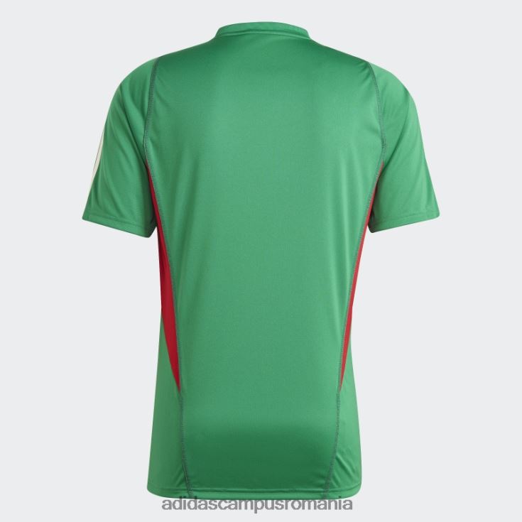 adidas campus romania tricou de antrenament mexic tiro 23 verde bărbați verde J266N27255